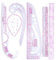 YUHOME Lot de 6 règles métriques françaises, en plastique, pratiques, pour vêtements, magasin de vêtements, 57 cm, y compris 2 droites, 1 virgule, 1 manchon, 1 vêtements, 1 règle à bouton
