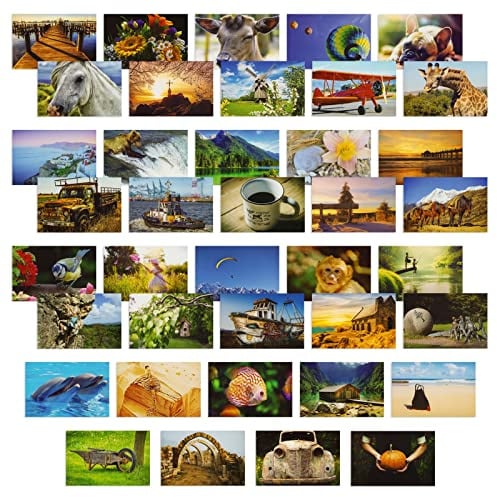 40 Pack Bulk Animal and Travel Postcards From Around the World for Mailing, Assorted Nature Thank You Notes (10 x 15 cm)
