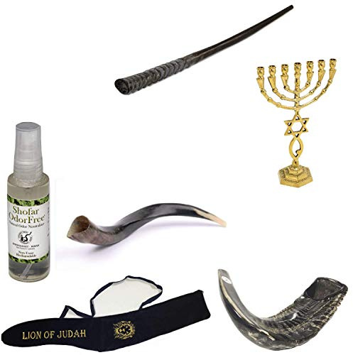 Set Shofar, Oryx, Ram Horn, Kudu, Vintage 15,2 cm Menora, Tragetasche und Spray.