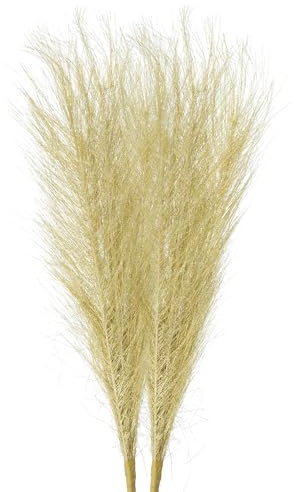 QUARKZMAN 2Pcs Faux Herbe de Pampa Petite 45cm/17.7 Fausse Herbe de Pampa Moelleuse 7 Branches Artificielle pour Remplissage de Vase à la Maison au Bureau Dorée