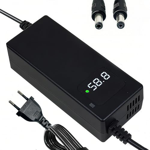 Chargeur 58.8V 2A Compatible avec Batteries Lithium 48V et 51.8V, idéal pour appareils électriques Mobiles personnels Équipé de Deux interfaces DC5.5×2.5mm et DC5.5×2.1mm