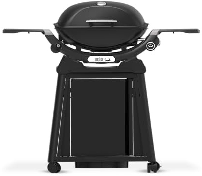 Weber Q2200N Gasgrill mit Wagen