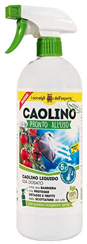 I Consigli dell'Esperto Caolino Pronto Uso, 1 kg