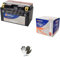 Compatible avec Honda 900 CB F Hornet 2001 à 2008 batterie déjà prête à l'emploi Technium YTZ10S-BS batterie 8,6 ampères 12 V spécifique moto scooter 150 x 87 x 93 mm