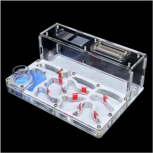 AYULYA Ameisenzuchtbox, Ameisenfarm, DIY, groß, flach, Ameisenfarm, Acryl, Ameisennest, großer Ameisenlebensraum mit Futterbereich, Schloss, Haustierameisenhaufen, 15 x 20 x 7,5 cm, zum Füttern von