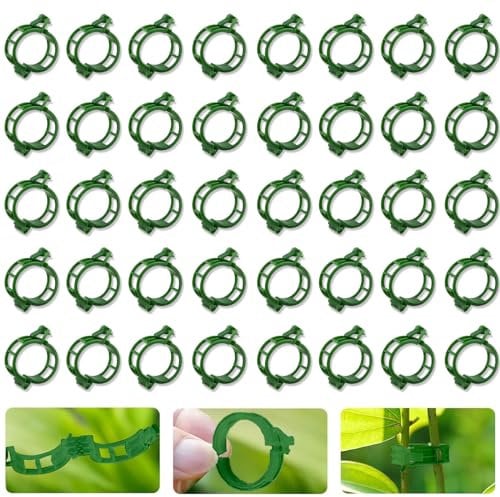 100 Pcs Plant Support Clips, Garden Plant Clips, Vine Clips Flower Stem Clips For Fixing Tomatoes, Flower, Vegetable, Stem, Cages, Twine Connects, Cucumber, Plants Clips (Green)