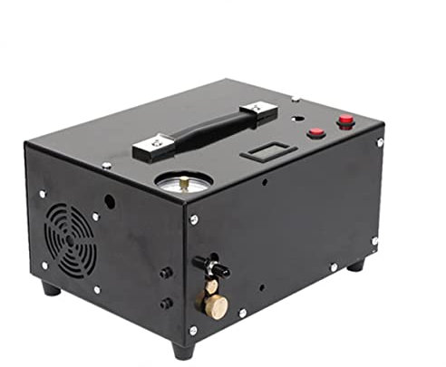 ZTBH Power Water Pumps Air gun Inflatable pump, 4500psi 300bar 30mpa Portable Compressor Water Pumps & Accessories (Voltage : 2L with oil gauge)