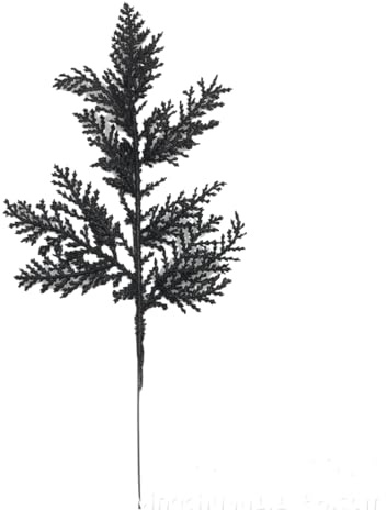 Vayliro 5 Stück Künstliche Weihnachtszweige Glitzer Deko Zweige Weihnachten Kunstpflanzen Tannenzweige Trockenblumen für Weihnachtsbaum Kranz Tischdeko Geschenkbox DIY Dekoration 27x13cm,Schwarz