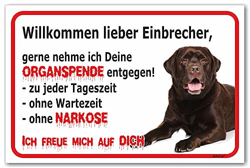 AdriLeo Schild - Vorsicht brauner Labrador Retriever - Willkommen lieber Einbrecher - (15x20cm) / Achtung Hund Wachhund robust langlebig UV-beständig wetterfestes Warnschild