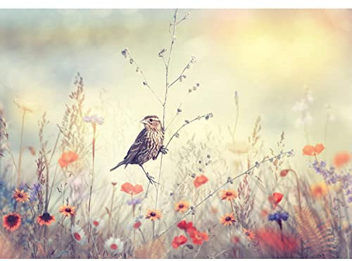 Runa Art Fototapeten 396 x 280 cm Blumenwiese Vogel - Vlies Wanddekoration Wohnzimmer Schlafzimmer - Deutsche Manufaktur - Bunt 9334012a