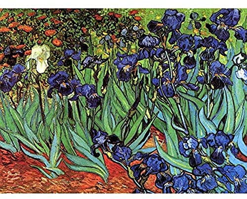 Wee Blue Coo Van Gogh Schwertlilien Kunstplakat Ungerahmter Druck 30x40 cm