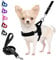 Eyein Dog Harness Small Dog, Anti Pull Heavy Duty Dog Harness and Lead Set, Easy for Walk Vest Harness Soft Padded Reflective Adjustable Anti-Twist Pet Lead Quick fit for Small Puppy Dog Cat(XXS)