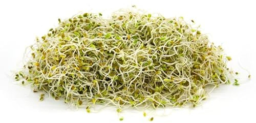 Italian Sprout - Semi per germogli - Trifoglio rosso Merlino - 500 gr.