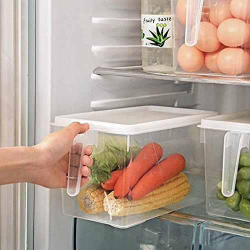 SINGFNH Confezione da 2 contenitori per frigorifero, contenitori per alimenti in plastica, organizer per frigorifero e contenitore con manico e coperchio, contenitori per frutta per frigorifero,