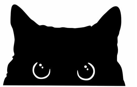 Peeking Cat Sticker Fun Kitty Watching Kitten Funny Car Bumper Body Window Sticker Vinyl Pet lover Decals Gift Waterproof Self Adhesive Laptop Motorcycle MTB Bike Home wall decor (Black)