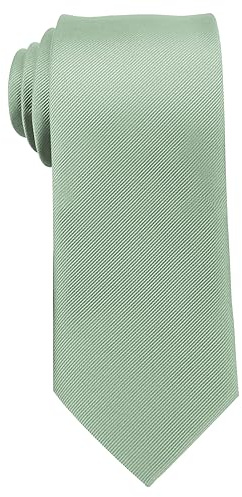 'TASTION Men's Classic Soild Color 3.15''（8cm Necktie Wedding Business Tie & Gift Box'