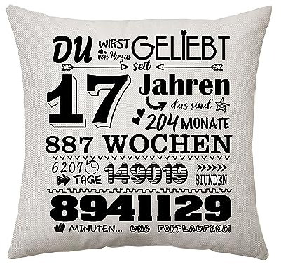 Aconesong Geschenk zum 17. Geburtstag Kissenbezug Geschenkidee für 17 Jahren Mädchen Junge Tochter Sohn Nichte Neffe Schwester Bruder 17. Geburtstag Deko Zierkissenbezüge 45x45cm (17th)