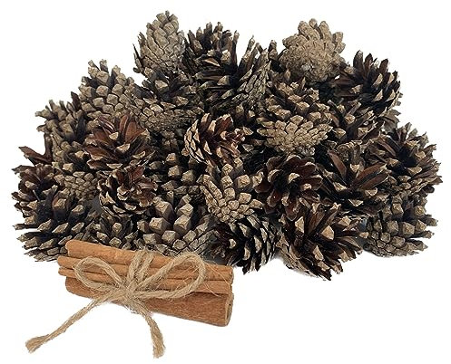 Duftende Tannenzapfen für Weihnachtsdekorationen – 30 Stück kleine Tannenzapfen und 3 Stück Zimtstangen zum Basteln und Vasenfüller – Zimtduft für Heimdekoration