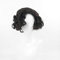 Wig Anime Cosplay Jon Snow Herren-Perücke, gelockt, kurz, Kunsthaar, for Erwachsene, Einheitsgröße, Jon Snow + Kappe