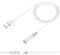 USB C Charger Adapter Compatible with Apple Pencil 1st Generation, 1M iPencil Charging Adapter, USB C to Lightning Adapter, USB C Charger for Apple Pen, Portable Charging Accessory for Apple Pencil 1