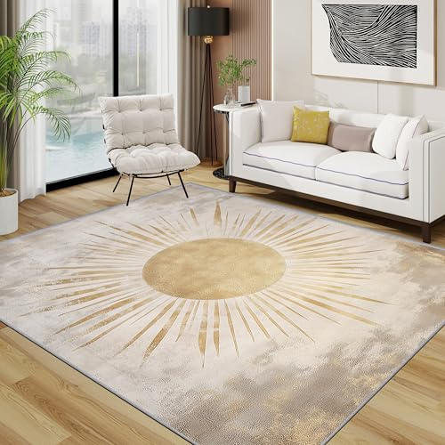 TerroVee Sonne Teppich, Gold Minimalistisch Luxus Teppich Eingang, Einfach Kurzflor Waschbar Antirutsch Klein Teppiche, 50x80 cm, Grau Gold