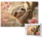 Sloth Jigsaw Puzzles for Adults 2000, Flower Large Wooden Puzzles for Adults, Funny/Difficult/Impossible/Challenging Decompression Games, As a Birthday for Women and Men 2T-959
