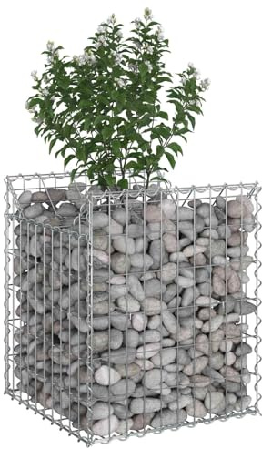 vidaXL Gabionen Hochbeet Silber 50 x 50 x 60 cm Verzinkter Stahl, Gartenzaun, rechteckige Outdoor-Barrieren, Sichtschutzpaneele, langlebige Zaunhardware für Landschaften und Grundstücksgrenzen