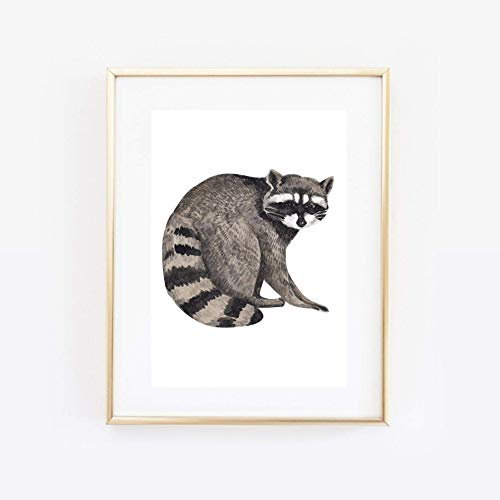 Din A4 Kunstdruck ungerahmt Waschbär Racoon Natur Waldtier Aquarell Wasserfarbe Geschenk Druck Poster Deko Bild