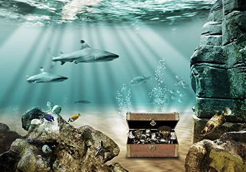 wandmotiv24 Fototapete Unterwasser-Schatz, 200 x 140cm - selbstklebende Strukturtapete, Wanddeko, Wandbild, Wandtapete, M0020
