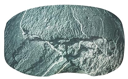Coolcasc® Coolmasc - Skibrillenschutz aus Mikrofaser - Einheitsgröße | Recyceltes RPET Mikrofaser, reinigt die Scheibe, schützt vor Kratzern, einfach aufzuziehen, Skiausrüstung, Geschenk Skifahrer