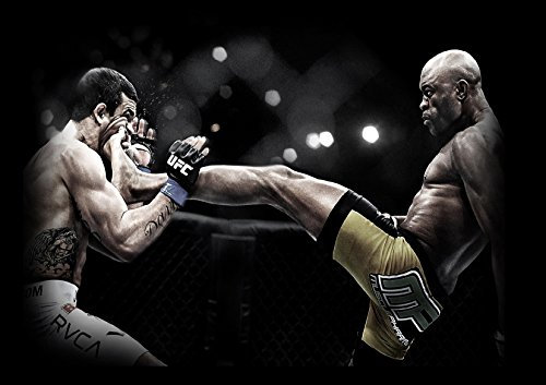 My Little Poster Plakat UFC Vitor Belfort gegen Anderson Silva Wand-Kunst