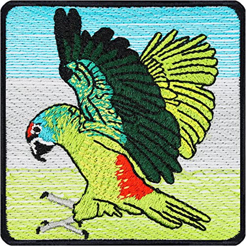 EXPRESS-STICKEREI Papagei Patch Birdwatching Aufnäher zum annähen/aufbügeln | hochwertige Vögel Flicken Vogelkunde Aufkleber Emblem Parrot Badge Textil deko Iron-on Bird Spotting | 75x75mm