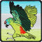 EXPRESS-STICKEREI Papagei Patch Birdwatching Aufnäher zum annähen/aufbügeln | hochwertige Vögel Flicken Vogelkunde Aufkleber Emblem Parrot Badge Textil deko Iron-on Bird Spotting | 75x75mm
