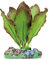 ICA Aquatic Plants AP1102 Planta de Seda Anubia Bordes bronceados para Acuario, 7 Cm