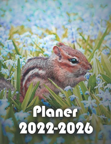 Planer 2022-2026: 5-Jahres-Planer 2022-2026 & Schulplaner 2022-2026 & Geschenk für Eichhörnchenliebhaber,Weihnachten und Halloween… v2