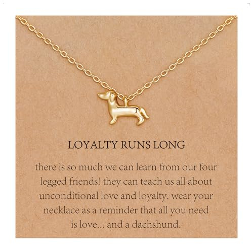 Aretas Dackel Dachshund Kette Geschenke für Frauen Damen Mädchen S925 Silber/Gold Hunde Dackel Anhänger Deko Weihnachten Geschenk für Hundebesitzer