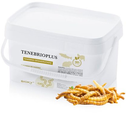 Gusanos de la Harina 800gr - Tenebrios Deshidratados Premium 5L - Comida para Aves, Tortugas, Peces, Hamster, Pájaros, Roedores | +50% Proteína (800 Gramos)