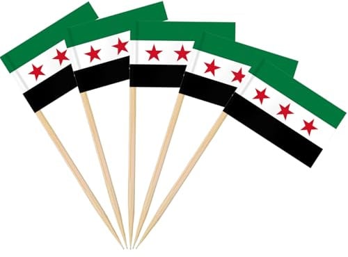 AhfuLife 200 Stück Syrian Zahnstocher Flaggen, Syrien Deko Fahne Klein Mini Zahnstocher Syria Fähnchen Syrian Arab Republic Three Star Cupcake Topper für Garten Festival Draußen Drinnen Party Bar Deko