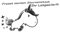 Finest Folia Einhorn Sternenstaub Aufkleber 13x11 cm Fun Sticker für Auto Dekor Unicorn Autoaufkleber (K074 Schwarz Glanz)