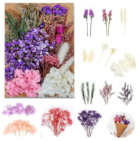 Getrocknete Blumen, Trockenblumen zum Basteln Gepresste Blüten Natürliche Schleierkraut Getrocknet Klein Getrockneten Gemischte Deko für DIY Kunst Scrapbooking (Violett)