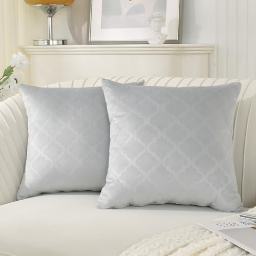 Ystyle Fundas de Cojines 2 Piezas Funda Cojin 50x50 Cuadrado Decoracion Hogar Sofa Cama Salon de Estar Dormitorio Sillas Jardin Habitación de los niños Terciopelo Elegante, Gris Plata
