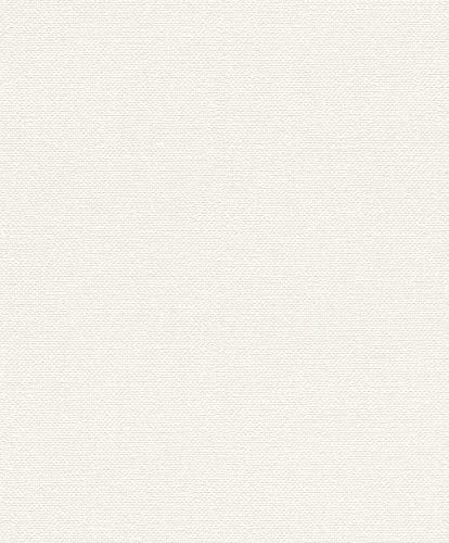Schellenberg 36001 Rolladengurt 23 mm x 6,0 m System MAXI, Rollladengurt, Gurtband, Rolladenband, beige