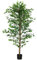 HOMCOM Plante Artificielle Arbre Artificiel ficus Hauteur 1,80 m Tronc Branches Liane Lichen Feuilles Grand réalisme Pot Inclus, intérieur, Vert