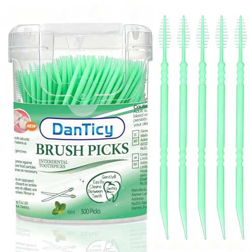 Palillos de dientes con sabor a menta para un aliento fresco, plástico sin BPA, palillos de dientes portátiles de menta, púas dentales para cuidado bucal, 300 unidades