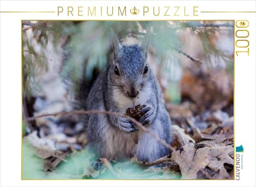 CALVENDO Puzzle Eichhörnchen | 1000 Teile Lege-Größe 64 x 48 cm Foto-Puzzle für glückliche Stunden