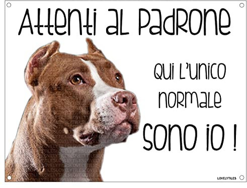 PITBULL Attenti al padrone qui l'unico normale sono io! CANE CARTELLO TARGA IN METALLO (15X20)