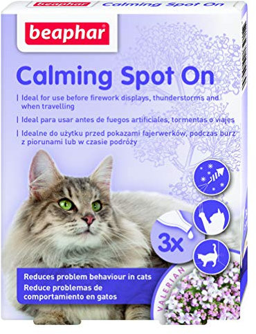 Beaphar - No Stress - Pipetas calmantes de Valeriana para Gatos - Reduce el estrés y los Problemas de Comportamiento sin somnolencia -Listo para Usar - 3 semanas de Cobertura - 3 pipetas