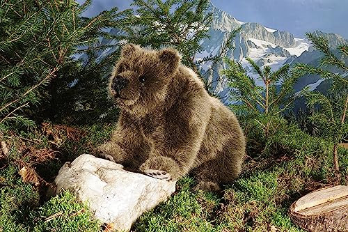 Kösen Bär auf Vier Pfoten 32 cm