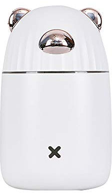 Facial Steamer Face Steamer Nano Ionic Cold Mist Sprayer,Mini USB Protable Sprayer for Car/office/Bedroom,White