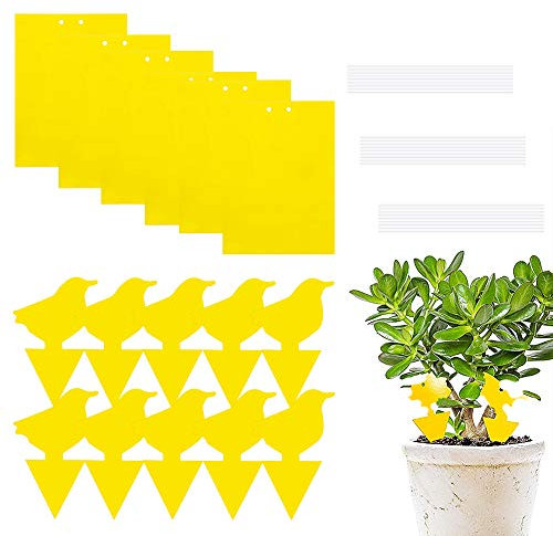 30Pcs Fliegenfalle, Sticker Fliegen, Klebrige Insektenfallen, Tafeln Fliegenfallen, Fliegenfänger Sticker, für Pflanzen Auf dem Balkon oder Im Garten (Gelb)